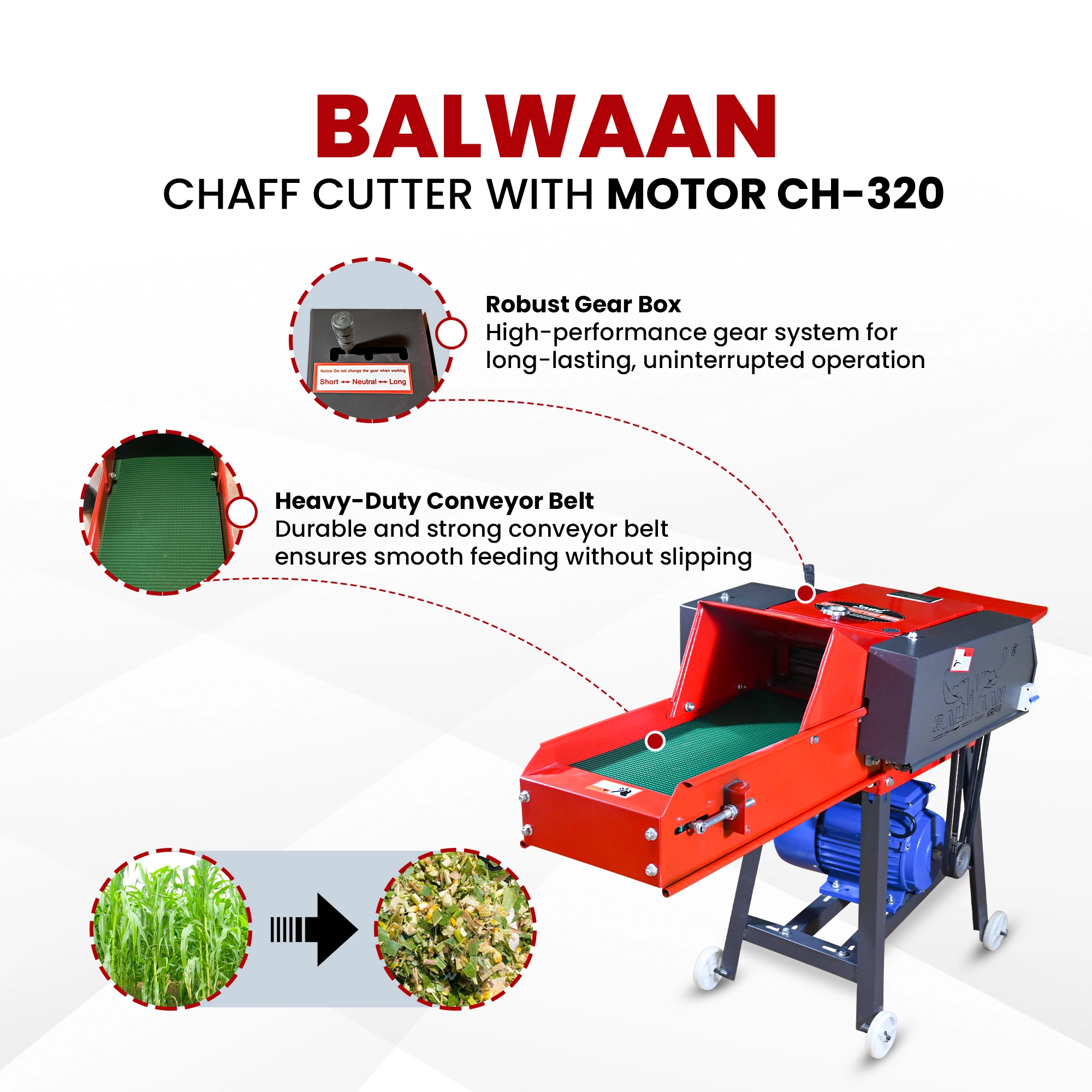 Balwaan-chaff-cutter-with-gear-motor & conveyor-belt-ch-320-2